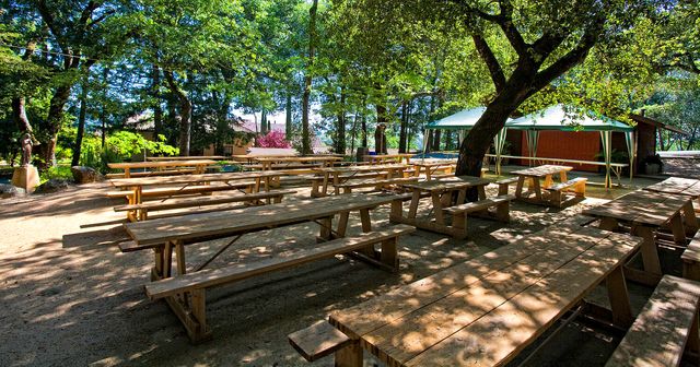 Featured photo from The Picnic Grove