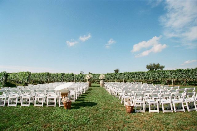 Featured photo from Pellegrini Vineyards Space