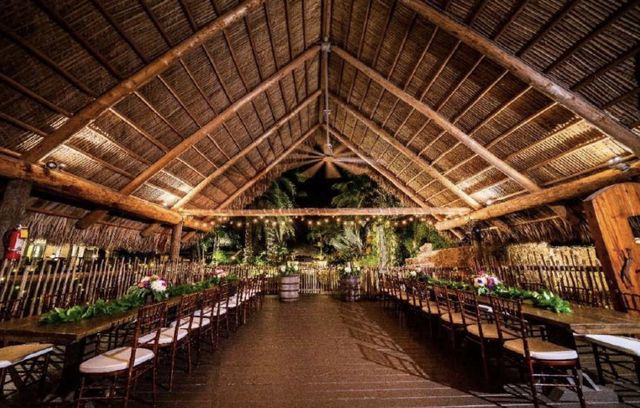 Featured photo from Waterfall Tiki