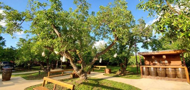 Featured photo from Outdoor Reception Area