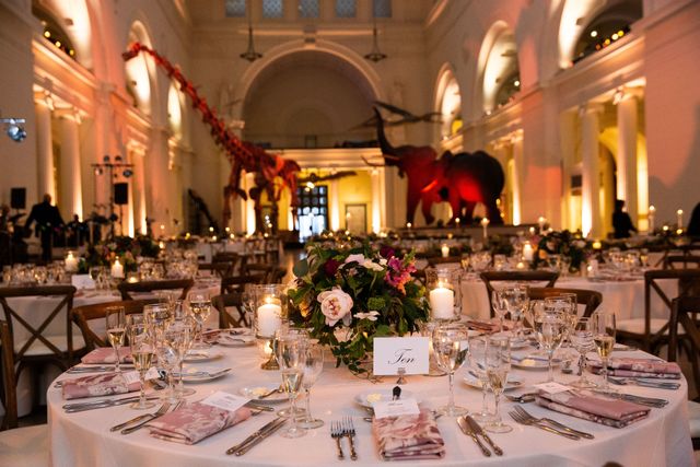 Featured photo from Springtime Wedding Reception at the Field Museum in Chicago, IL