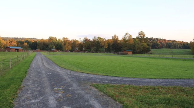 Featured photo from The Lower Track