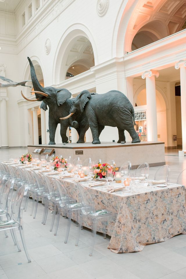 Featured photo from Remarkable WIPA Dinner at The Field Museum in Chicago, Illinois
