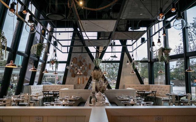 Featured photo from Root & Bone