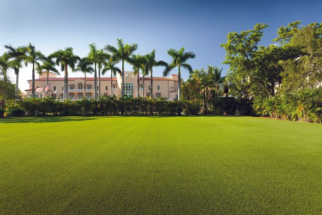 Featured photo from Palm Court