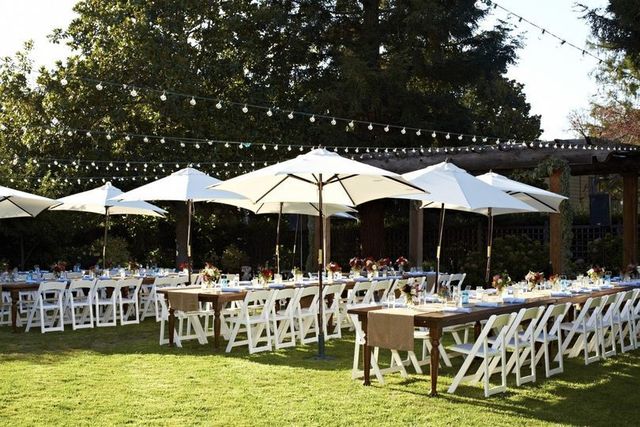 Featured photo from Garden