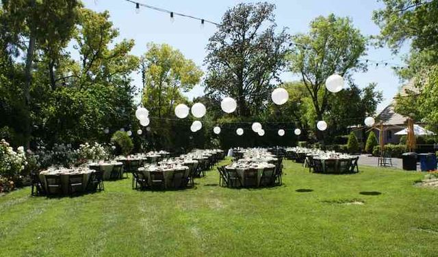 Featured photo from Garden