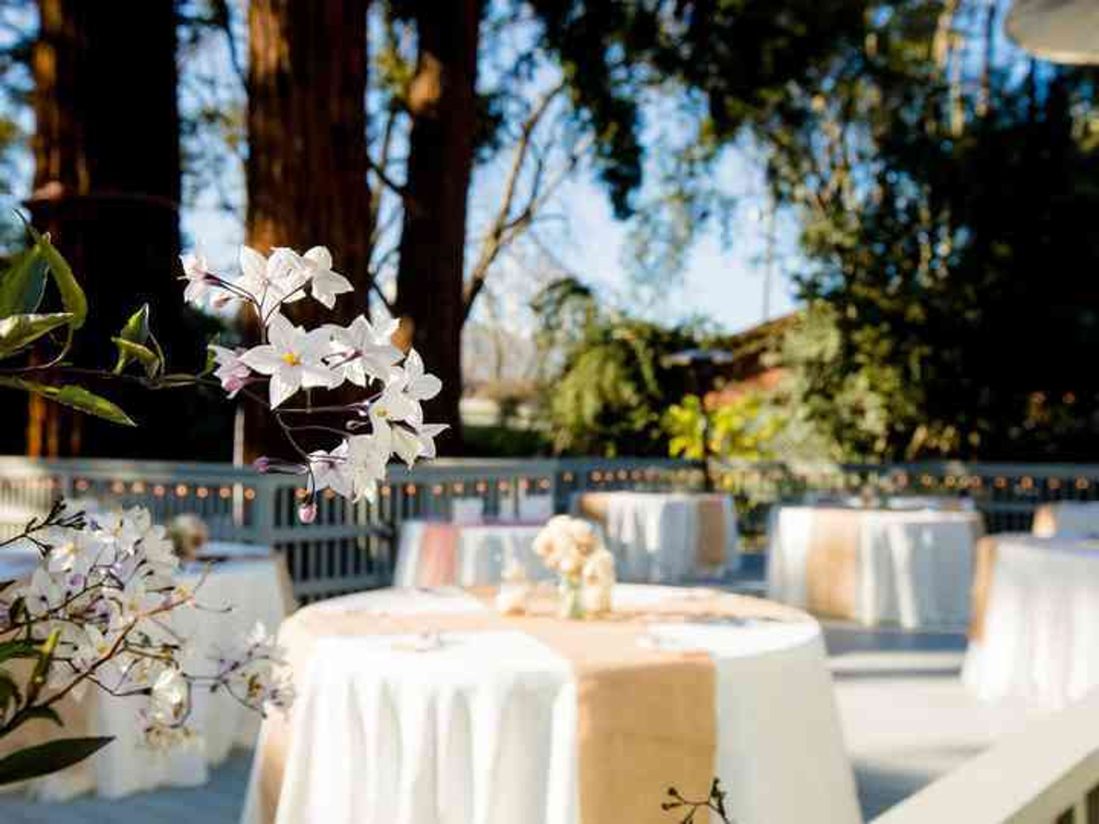 Outdoor Space, an event space at The Old Homestead