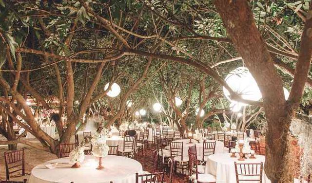 Featured photo from Garden