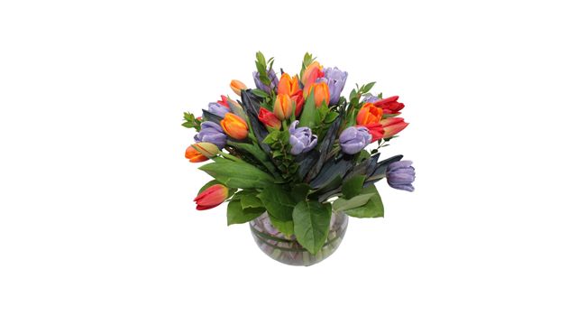 Featured photo from Tulip in A Bubble Vase