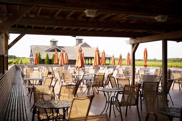 Featured photo from Vineyard