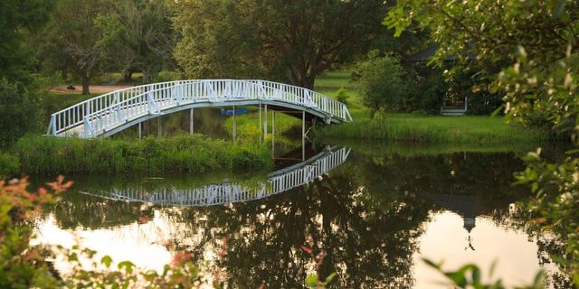 Featured photo from Outdoor Venue