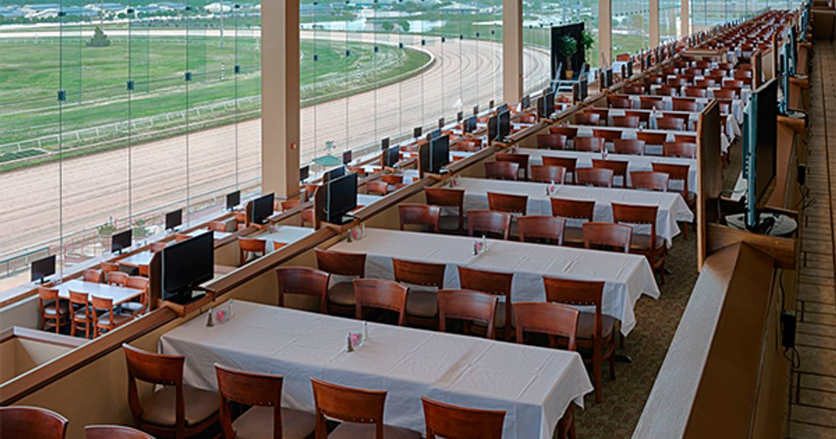 Addington Races Buffet photo-0c546af5-5007-460c-97fd-507e9a5a5e55.png?tr=w-1200,h-630,fo-fo-auto