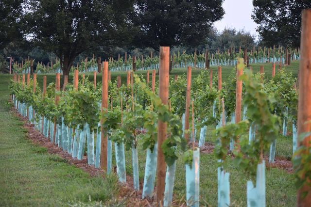 Featured photo from Outdoor Space