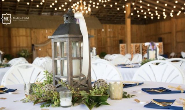 Featured photo from Farm