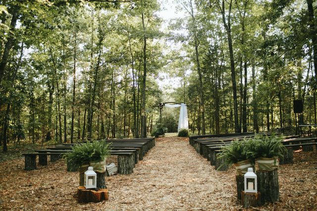 Featured photo from Wedding in the Woods