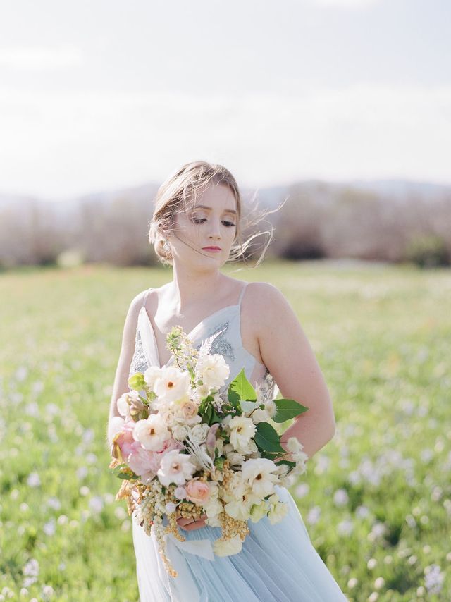 Featured photo from Idaho Wildflower Shoot