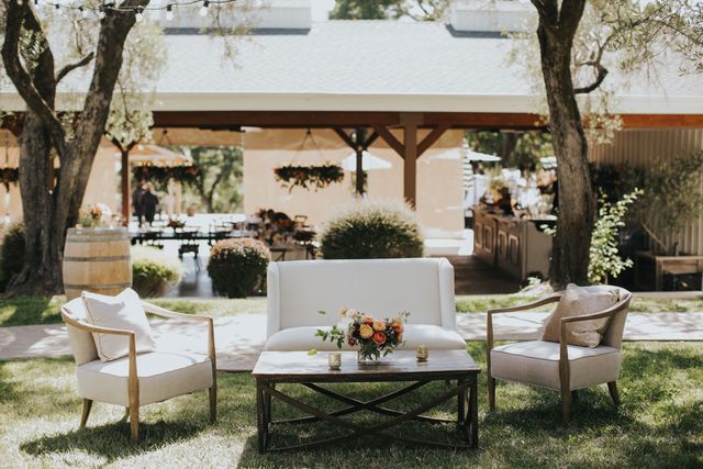 Featured photo from Olive Grove