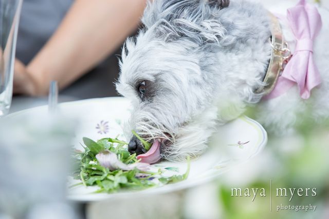 Featured photo from Summer Wedding