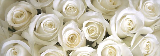 Featured photo from Example Event Space