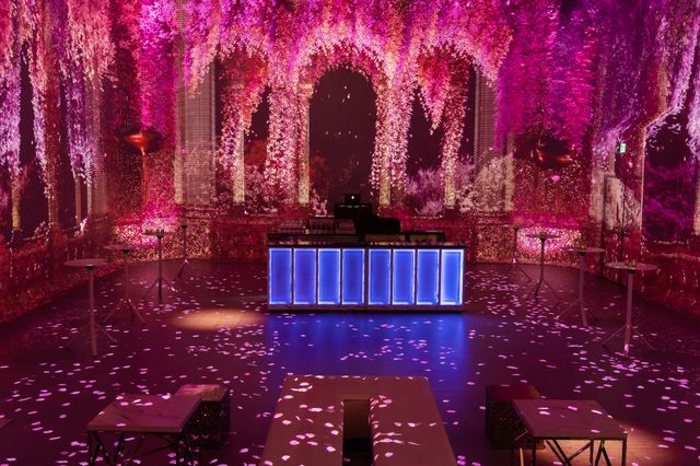 Featured photo from Illuminarium 1