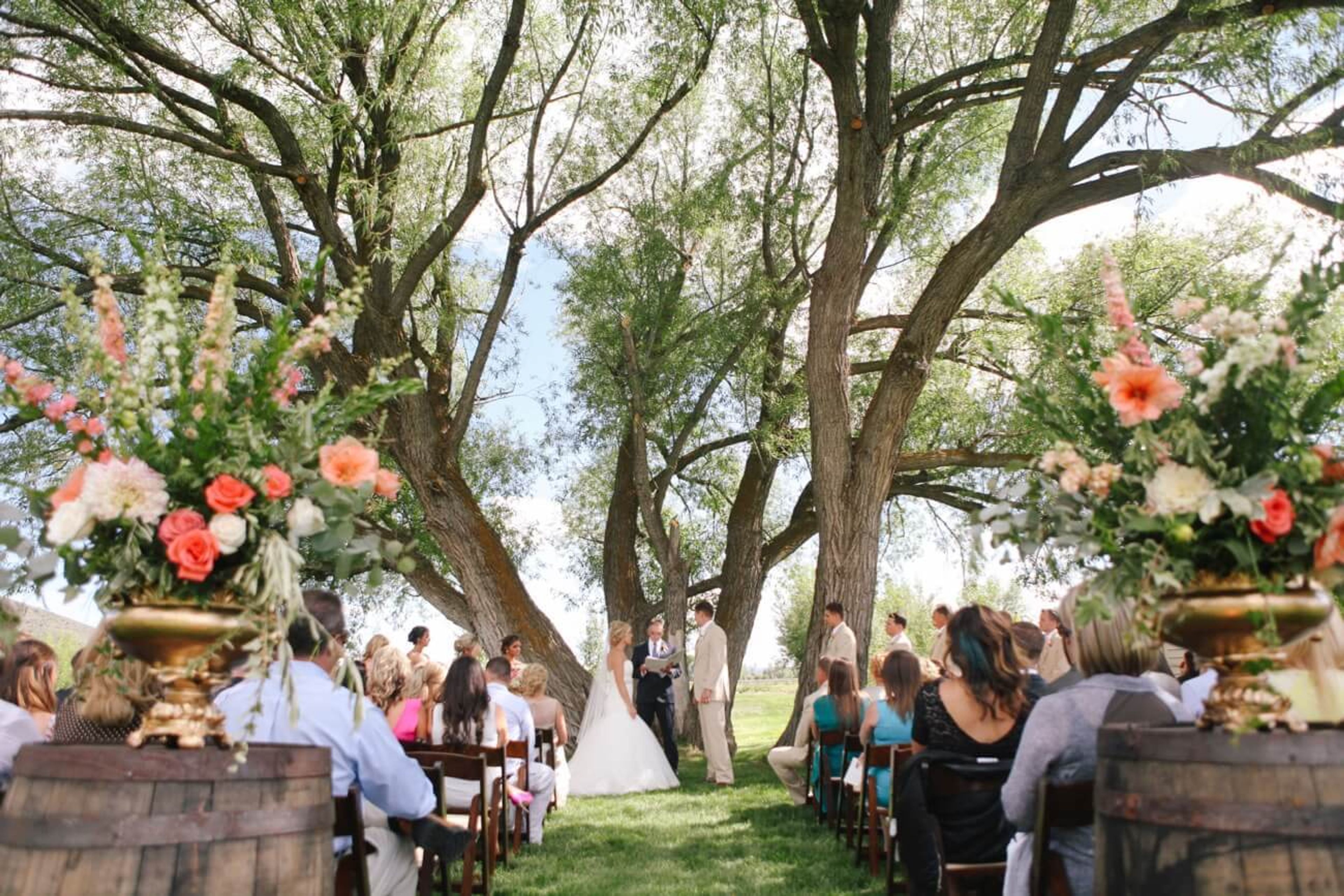 Great Lawn ceremony under the Wedding Tree, an event space at High Star Ranch