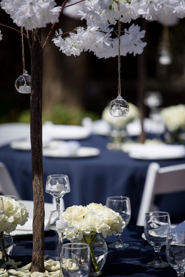 Featured photo from Outdoor Garden