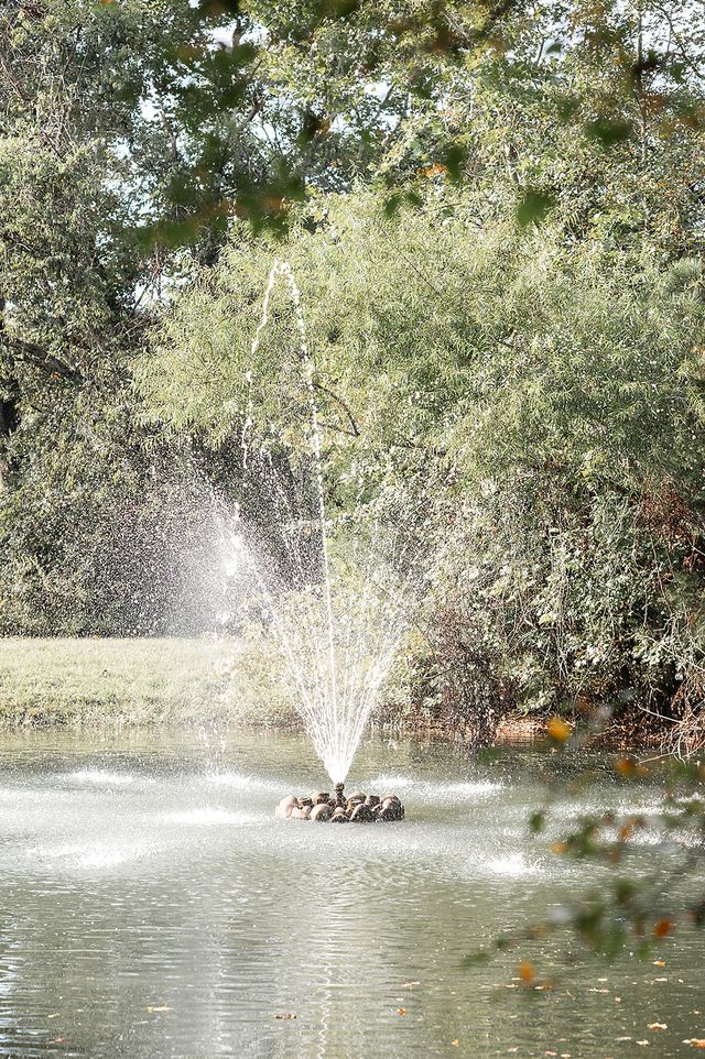 Featured photo from Shady Grove Ceremony Site