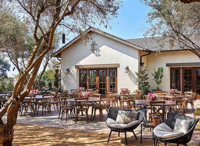 Featured photo from Olive Grove