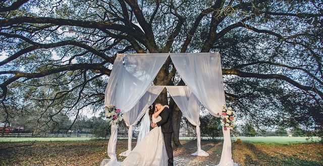 Featured photo from THE CENTURY OAK