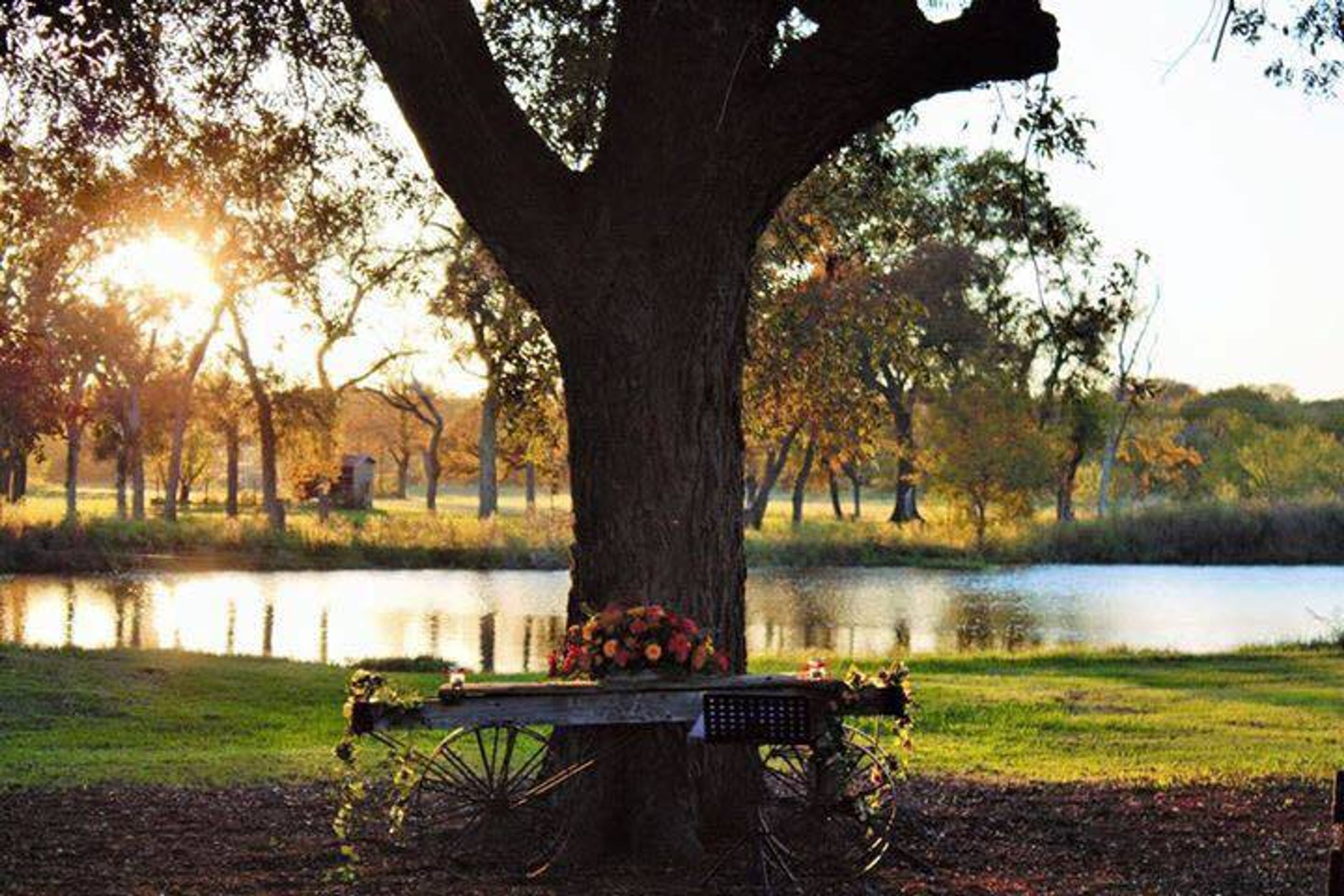 Old Bison Ranch, an event space at The Greenery Gardens
