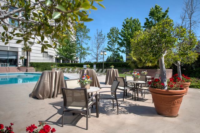 Featured photo from Pool Side