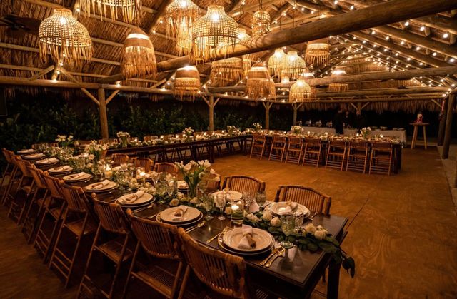 Featured photo from Palm House