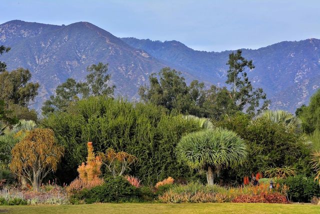 Featured photo from Los Angeles County Arboretum & Botanic Garden