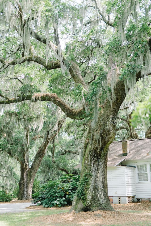 Featured photo from Sonja + Jeff