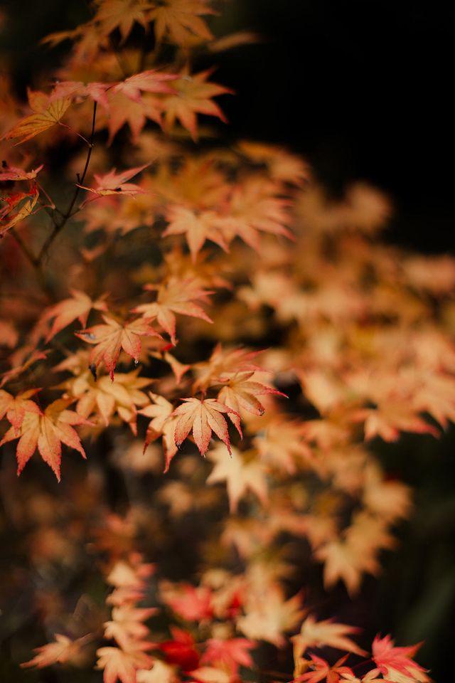 Featured photo from Nich + Emily's REMIX'D WEDDING