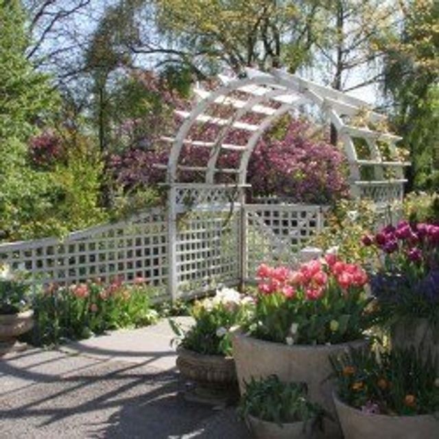 Featured photo from Example Events