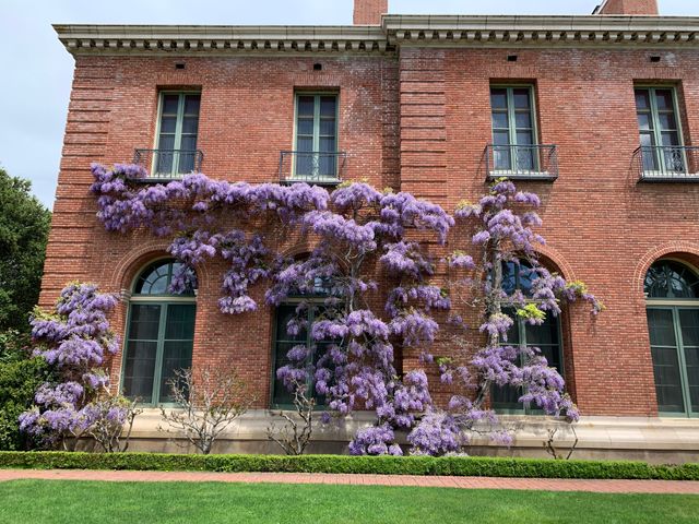 Featured photo from North Terrace