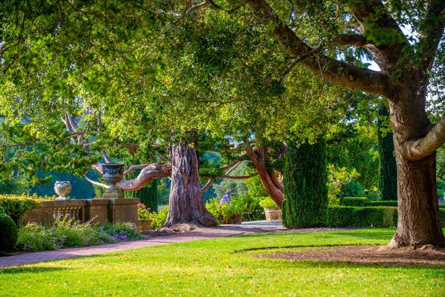 Featured photo from South Terrace