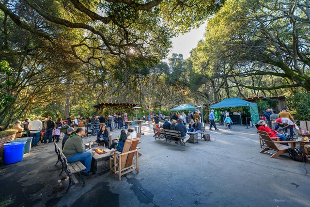 Featured photo from Woodland Garden Court