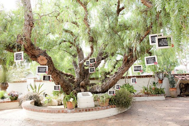 Featured photo from Garden Wedding Space