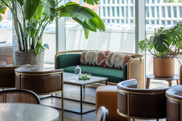 Featured photo from North Lounge