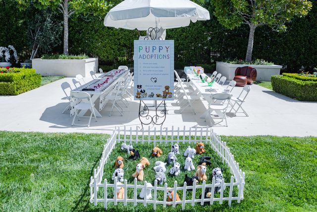 Featured photo from Puppy Themed 2nd Birthday Party at a Private Residence in Westlake Village, California