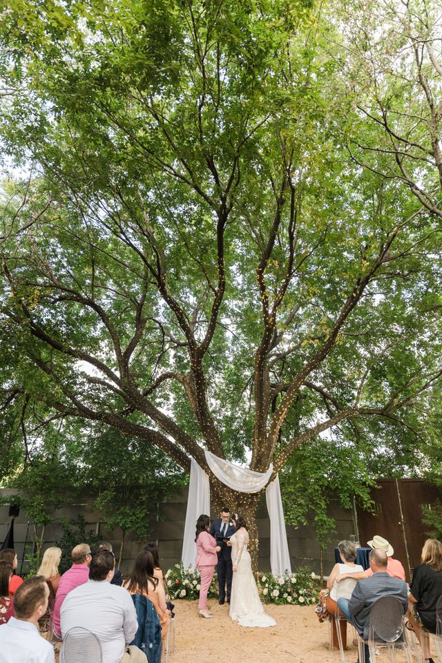 Featured photo from Garden