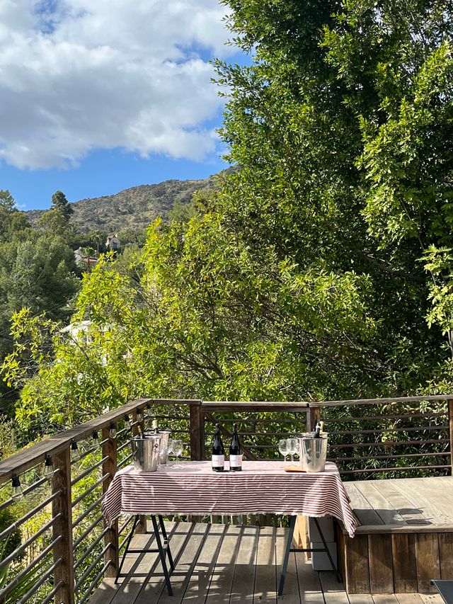 Featured photo from Earth Day Natural Wine Happy Hour