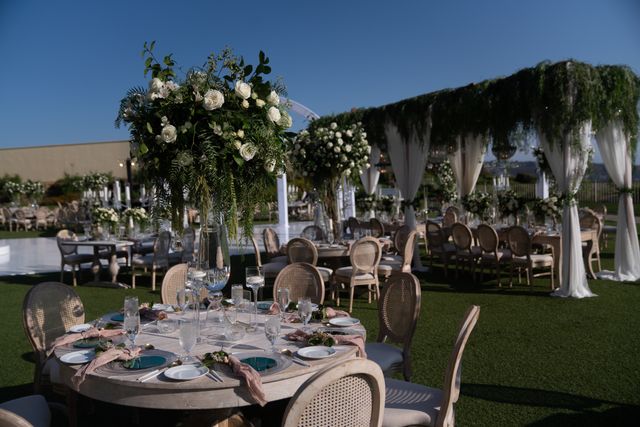 Featured photo from Alma + Ahmed