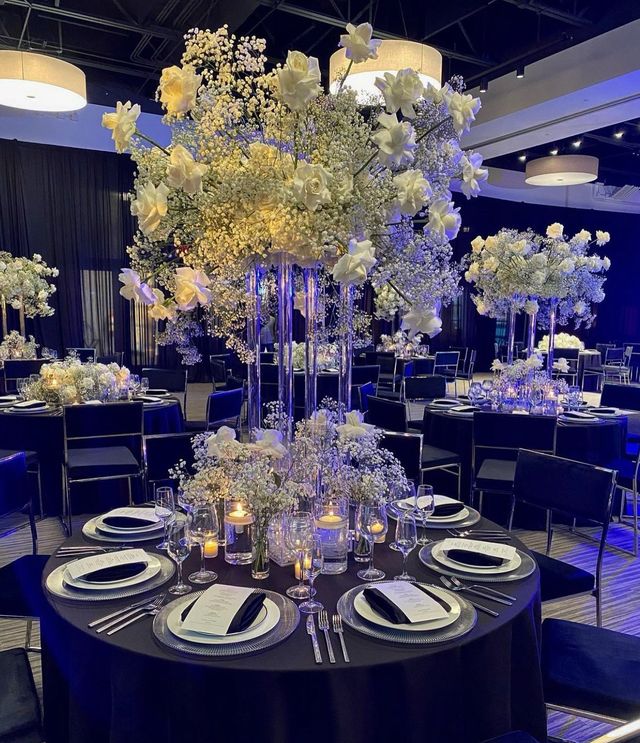 Featured photo from The Mayne