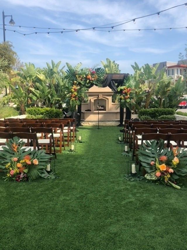 Featured photo from The Garden