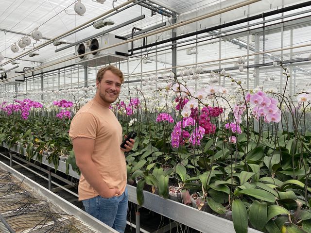 Featured photo from Grower Visit: Phaleanopsis