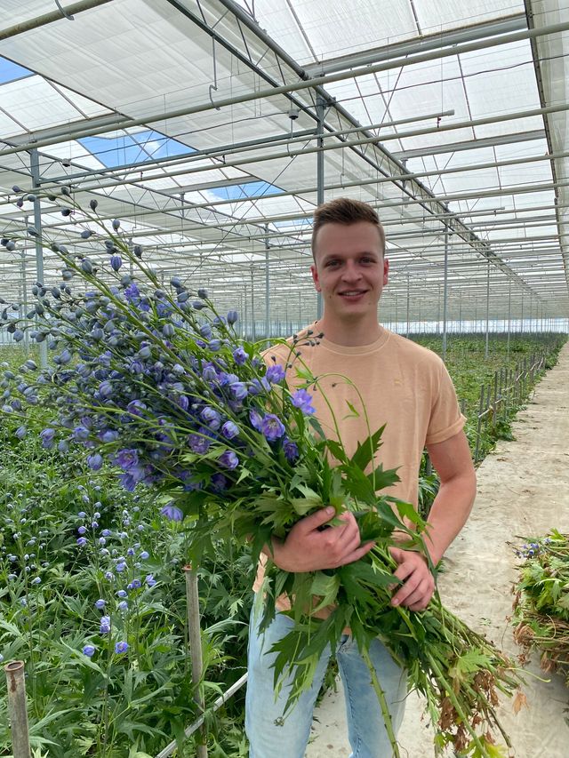 Featured photo from Grower Visit: Delphinium